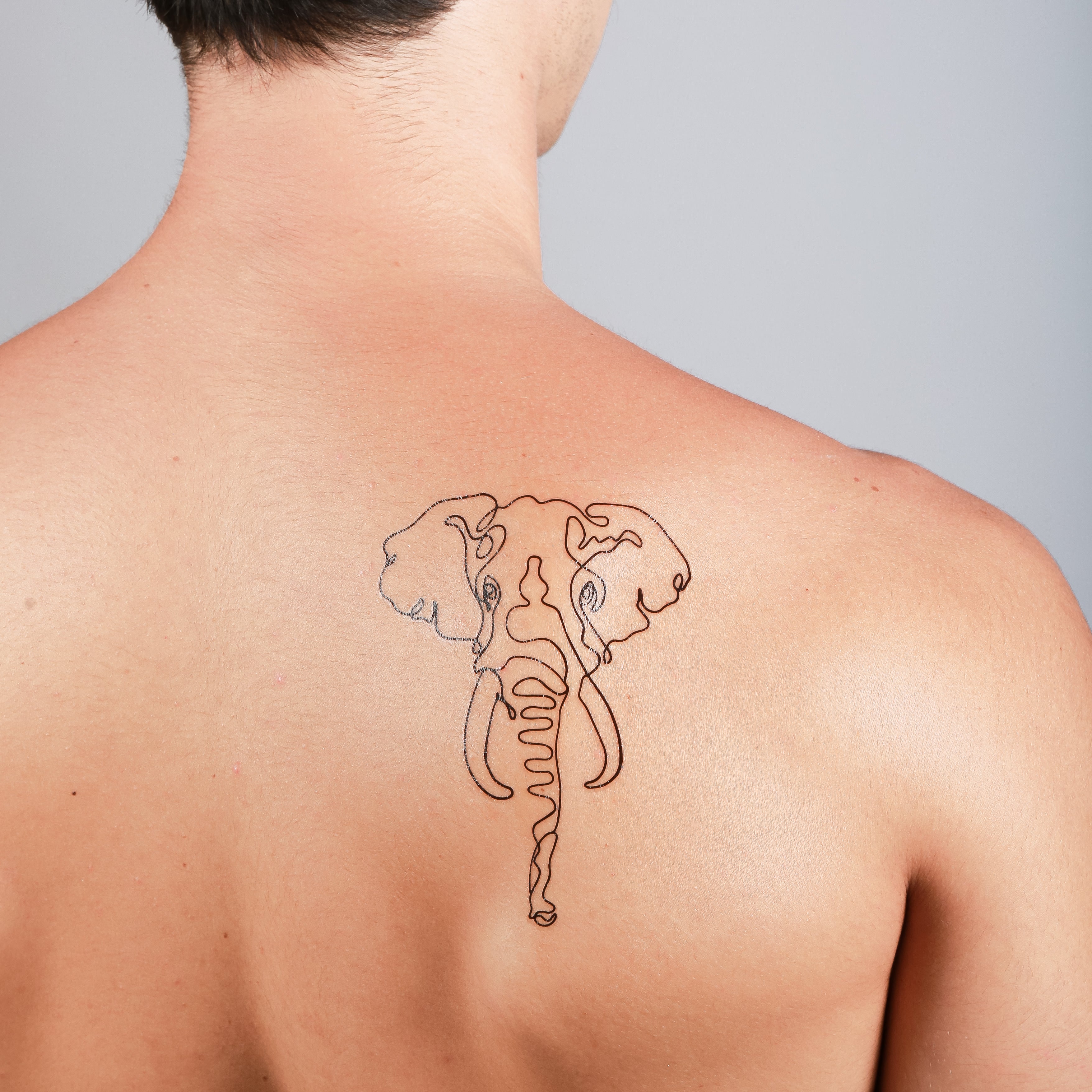 Simple Elephant Tattoo Designs