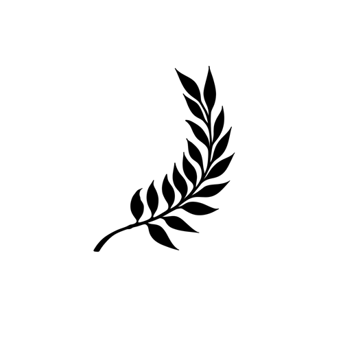 Branche minimaliste élégante