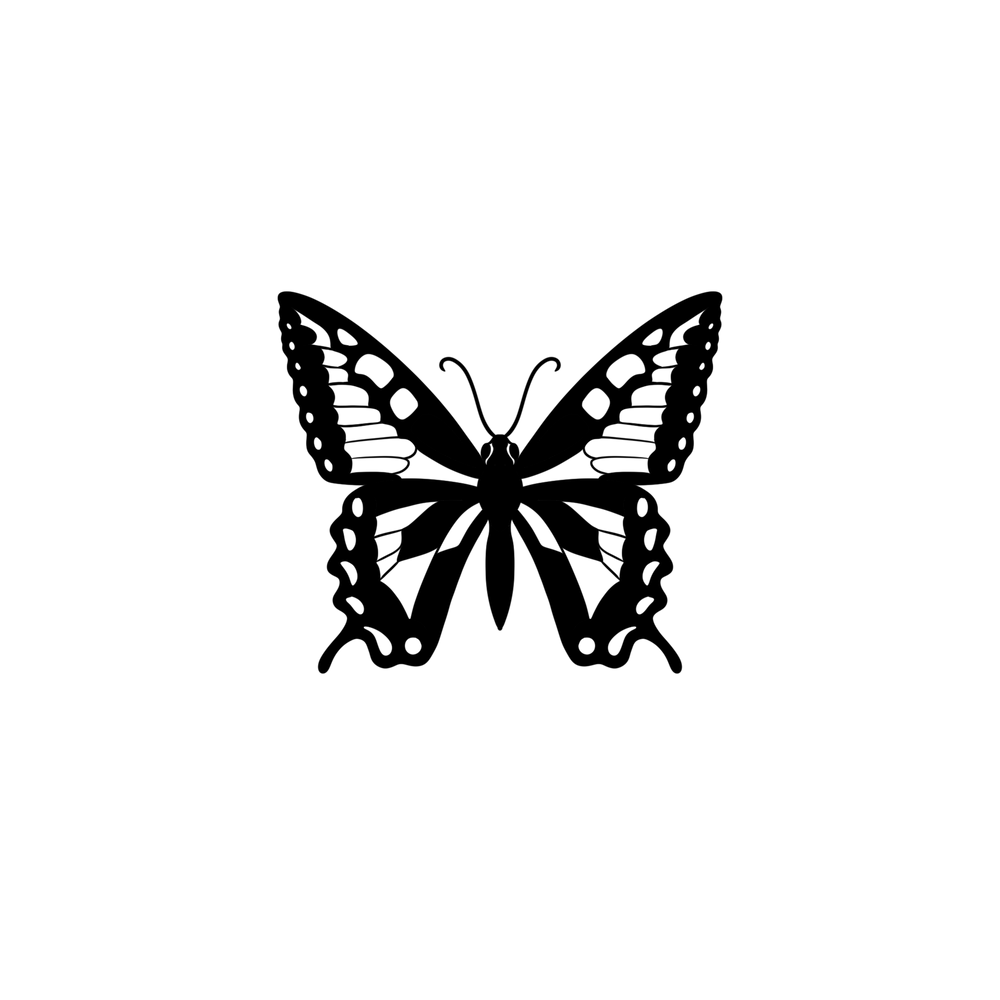 dessins de papillon monarque en noir design epure et symbolique