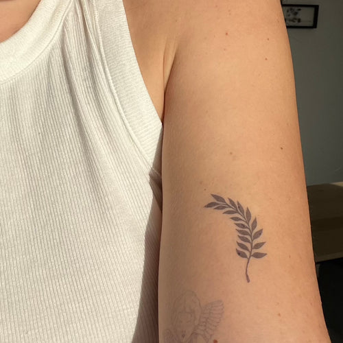 Branche minimaliste élégante