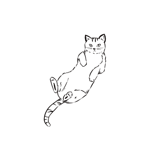 Chat minimaliste