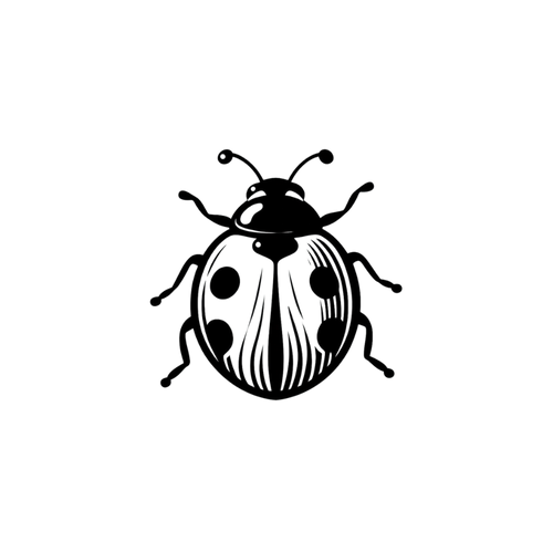 Coccinelle