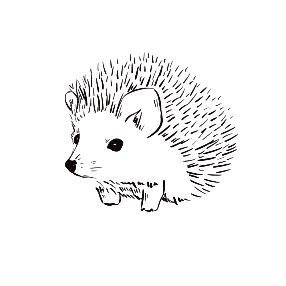 Tatouage hérisson