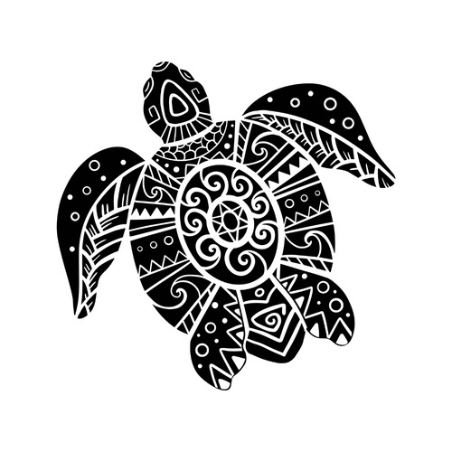 Tortue maori