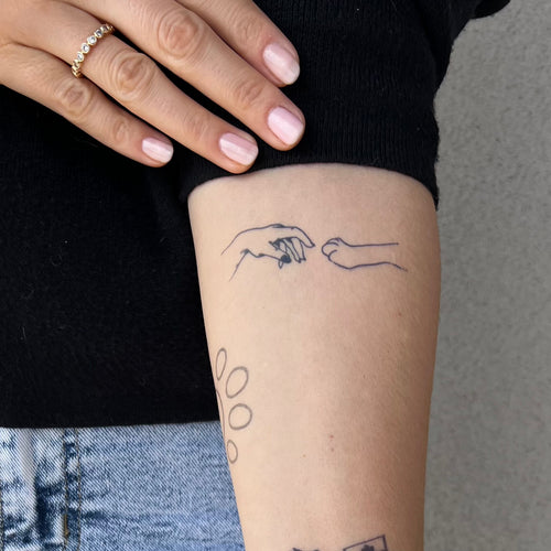 Patte de chien et main
