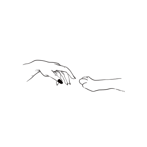 Patte de chien et main