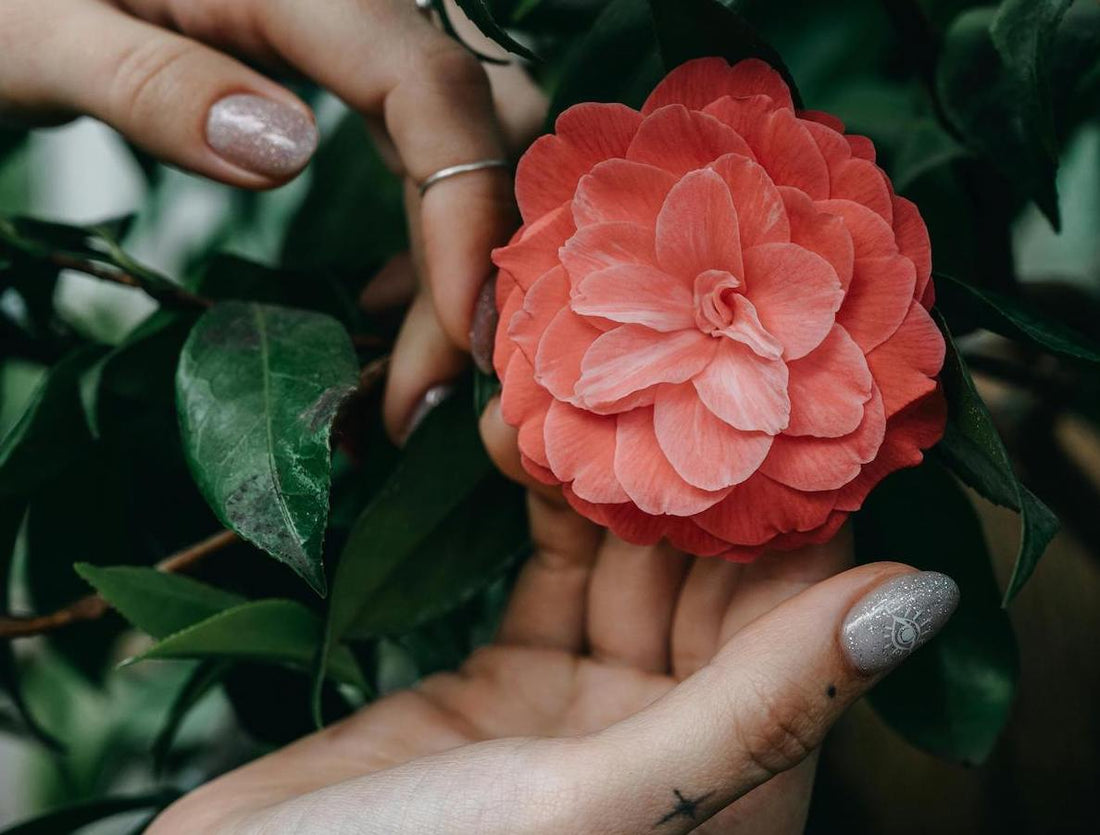 Tatouage pivoine signification : entre symbolisme et histoire