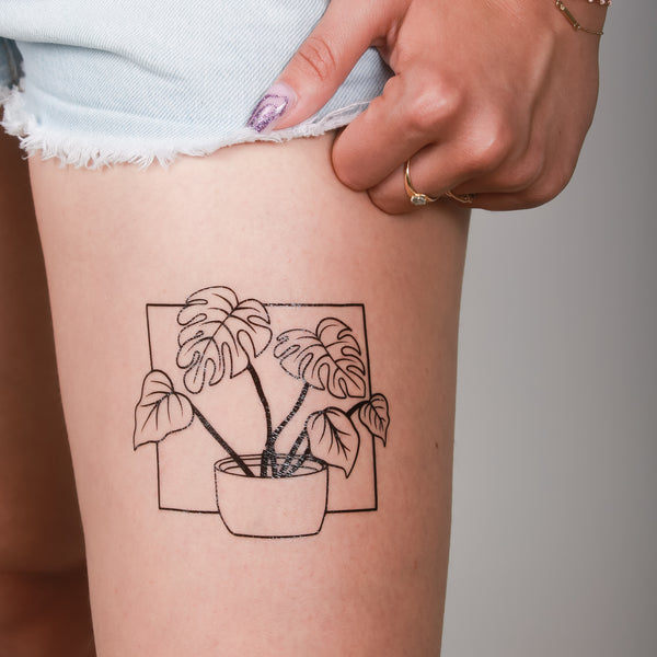 Flash Tattoos | Monstera Jungle Tattoo - Houseplant – The Flash Tattoo
