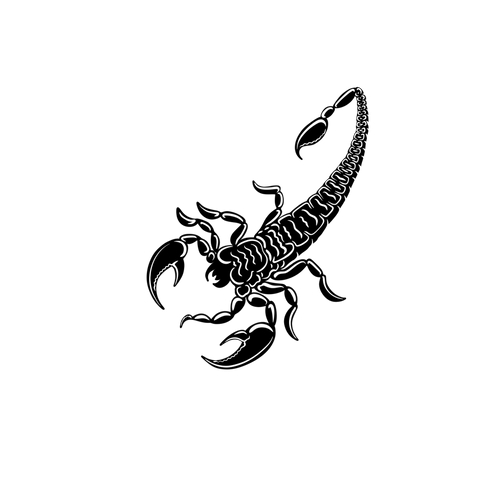 Scorpion royal