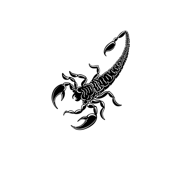 Tattoo Scorpion Tattoo artist Flash, Scorpion, seafood, monochrome, insects  png | Klipartz
