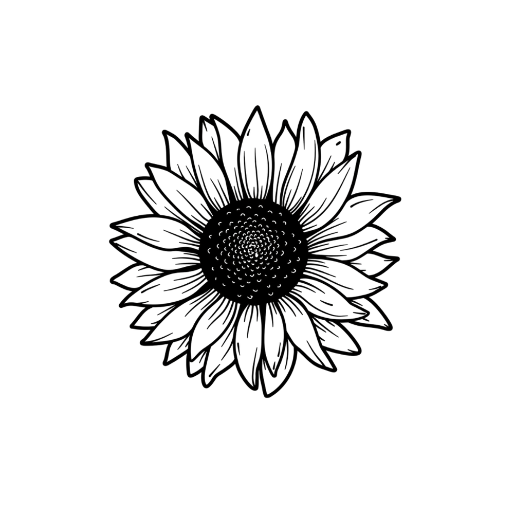Tournesol minimaliste