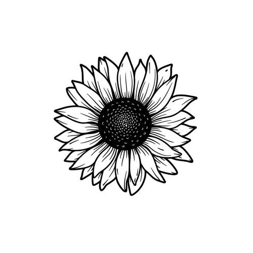 Tournesol minimaliste