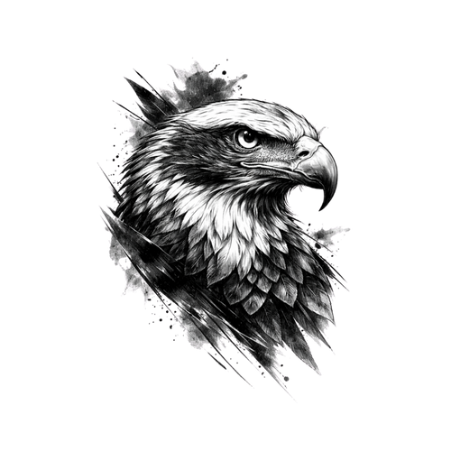 Black eagle
