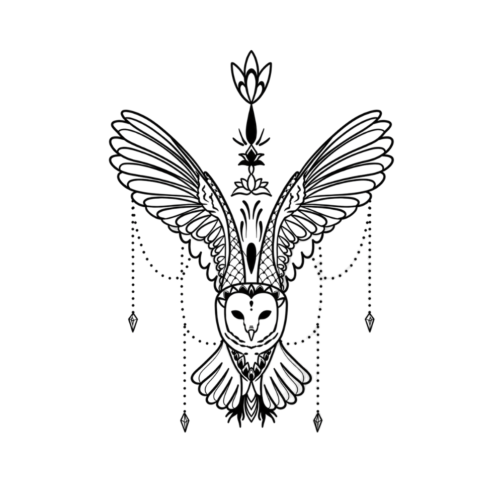 Celestial owl