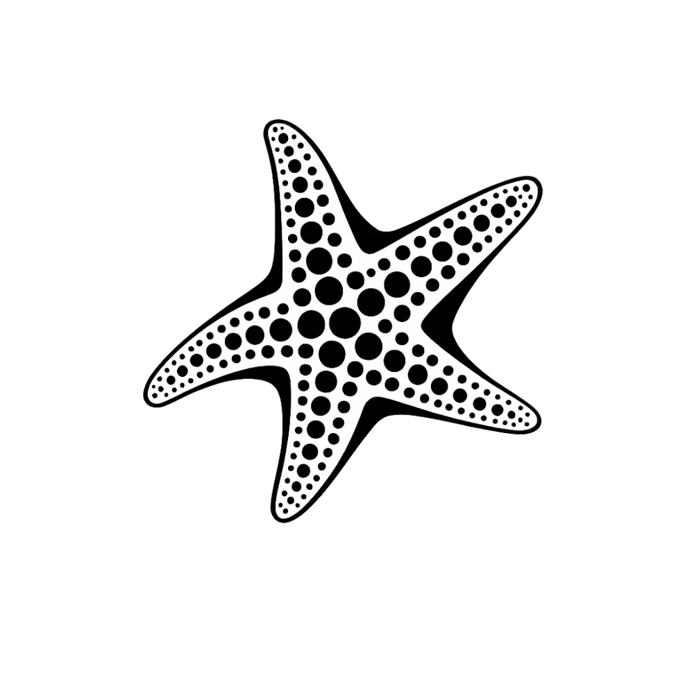 Etoile de mer