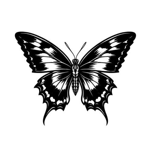 Papillon noir