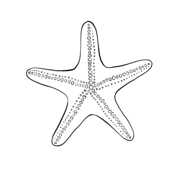 Starfish