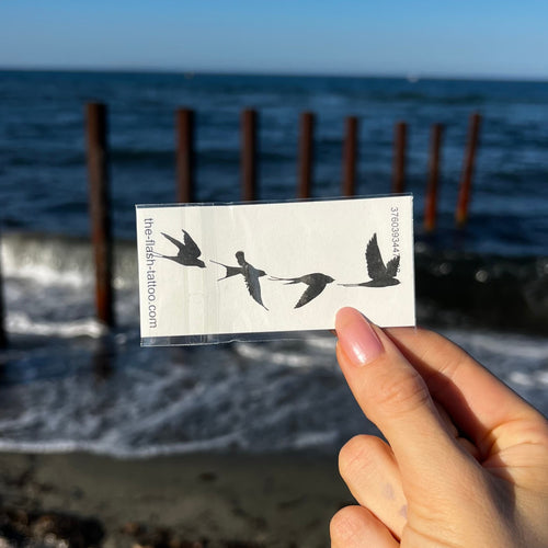 Swallows in flight