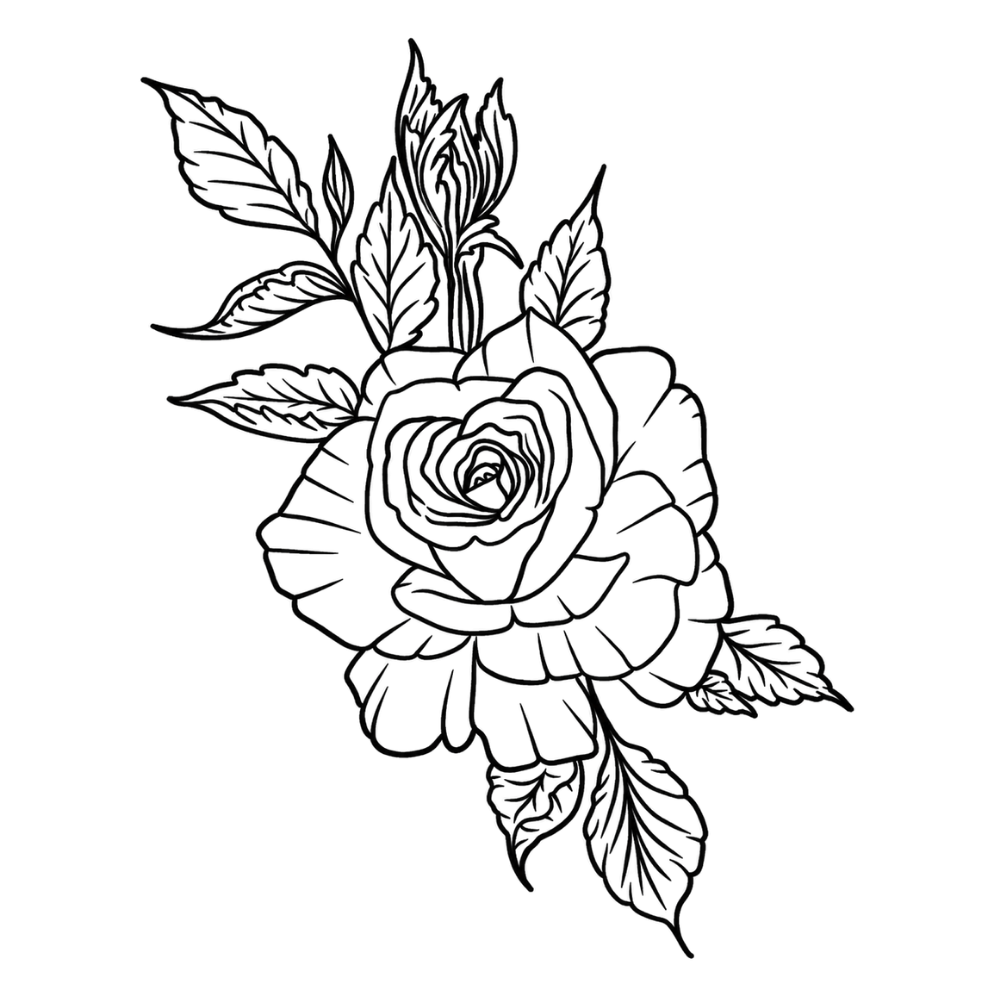 Rose éternelle