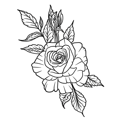 Rose éternelle