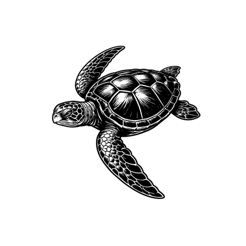 Sea turtle